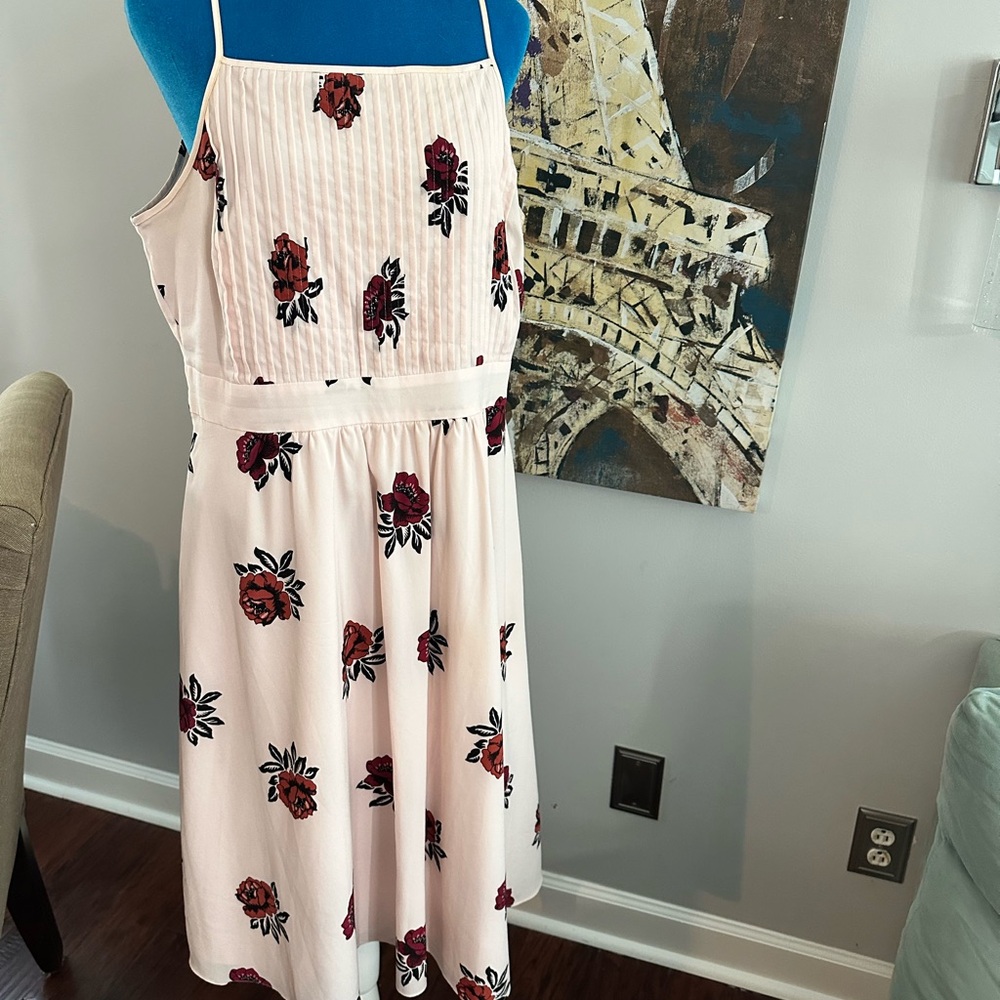 Ann Taylor Floral Dress in Pink and Red